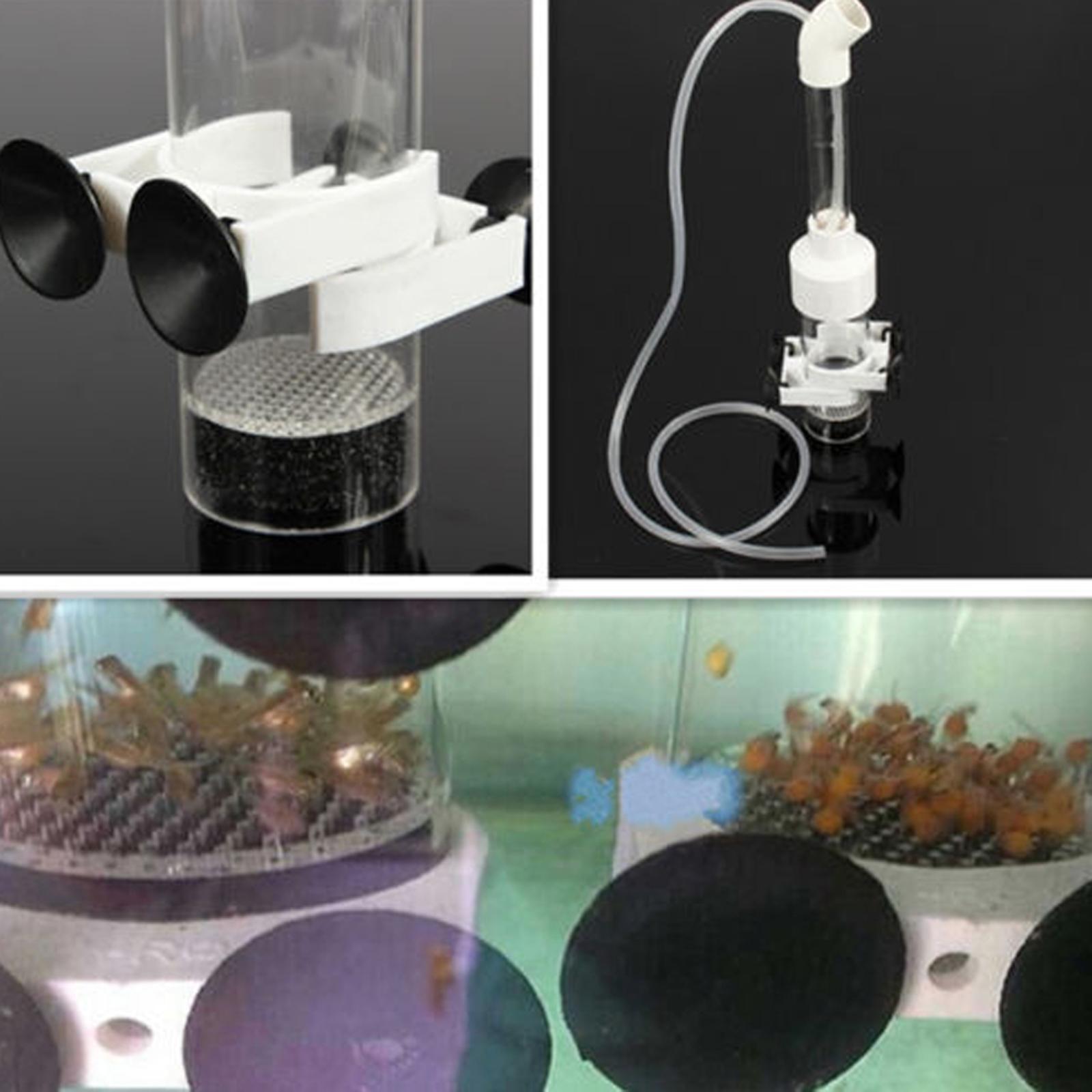 Aquarium Fish Eggs - Egg Incubator Fish Acrylic Hatchery Tool