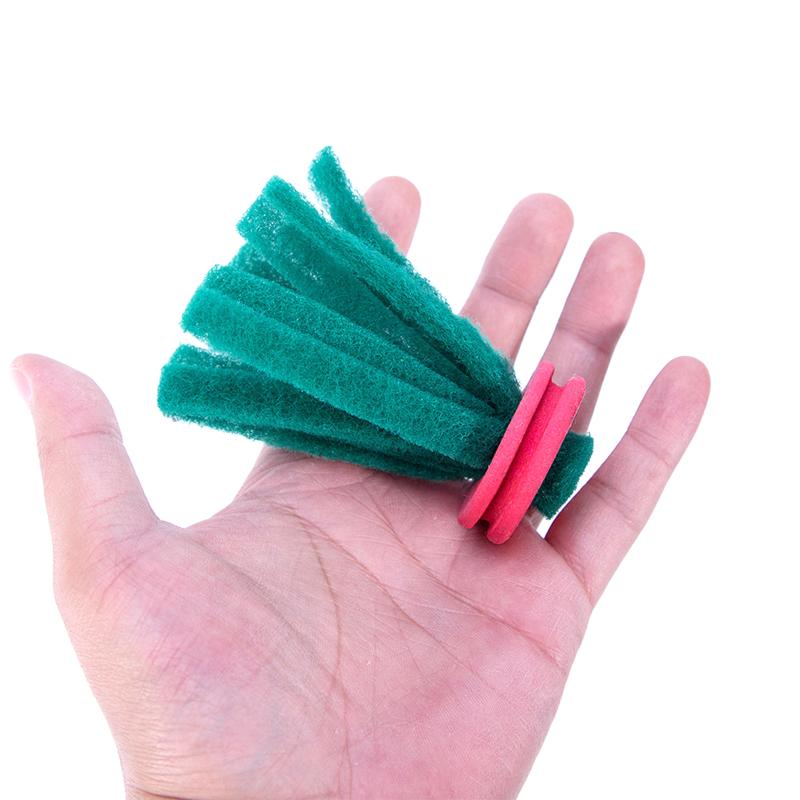 Aquarium Fish Eggs - Aquarium Fish Breeding Slate 10PCS Spawning
