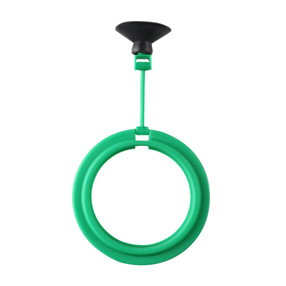 Aquarium Fish Keeping - 2Pcs Fish Feeding Ring Floating Food