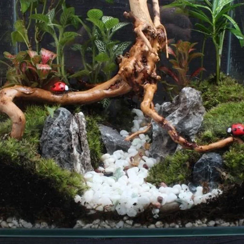 Natural Tree Trunk Driftwood A - Aquarium Fish Tank Price 评论和价格