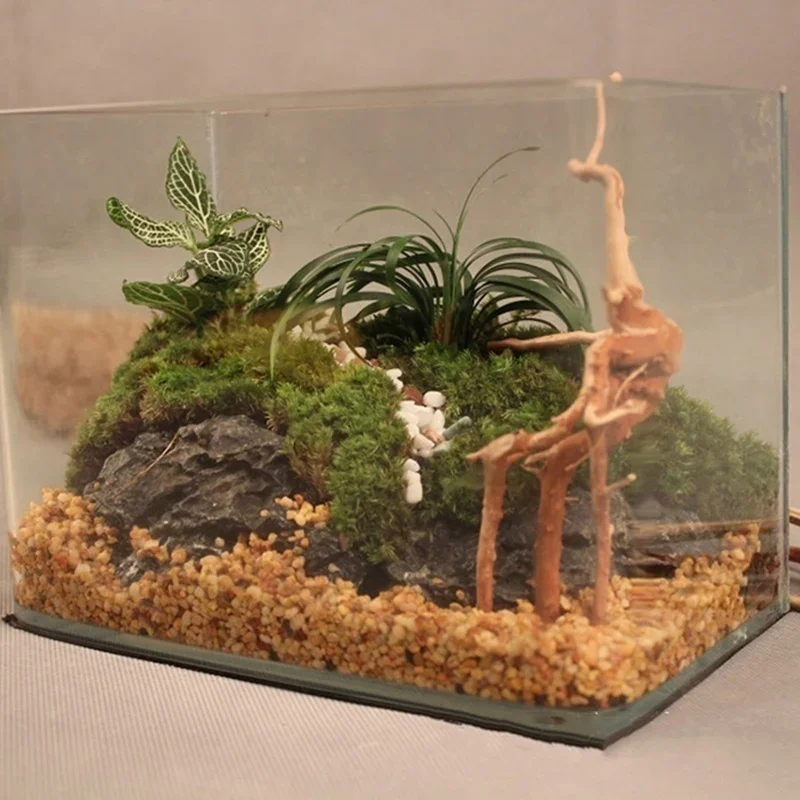 Natural Tree Trunk Driftwood A - Aquarium Fish Tank Price 评论和价格