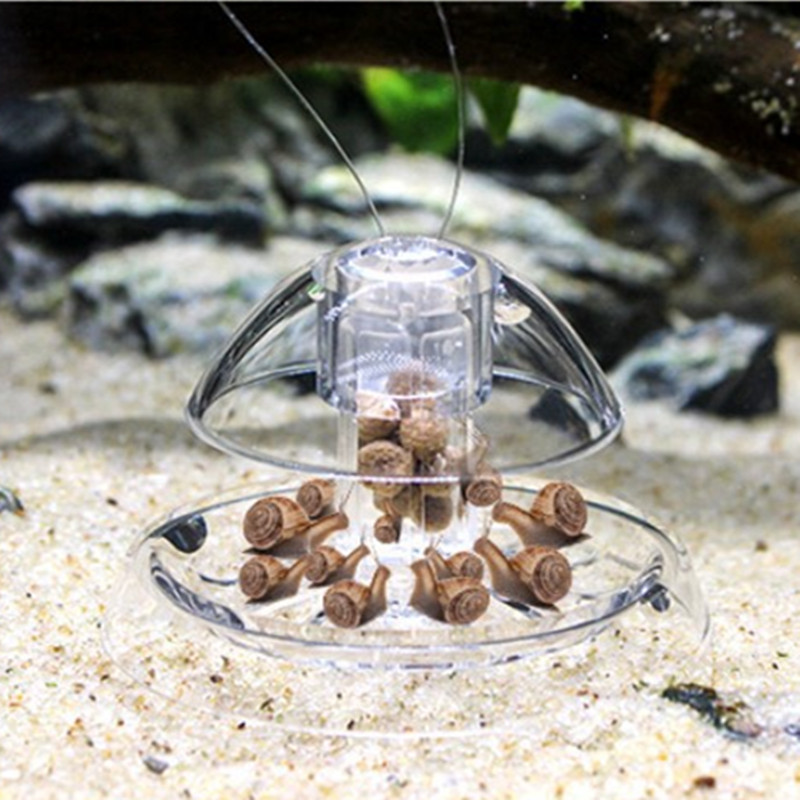 1PCS Fish Tank Aquarium Cleane - Aquarium Fish Eggs 评论和价格