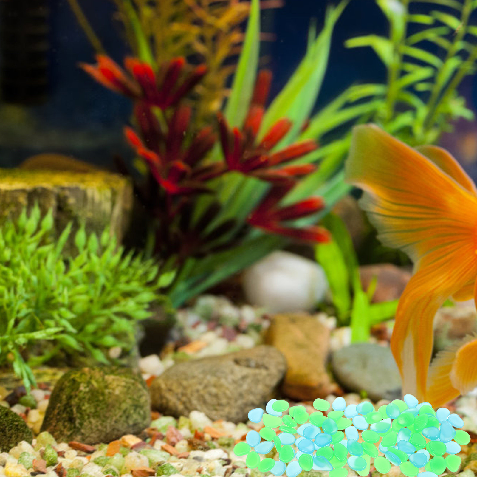 100Pcs Glow in The Dark Pebble - Aquarium Decoration Rock 评论和价格