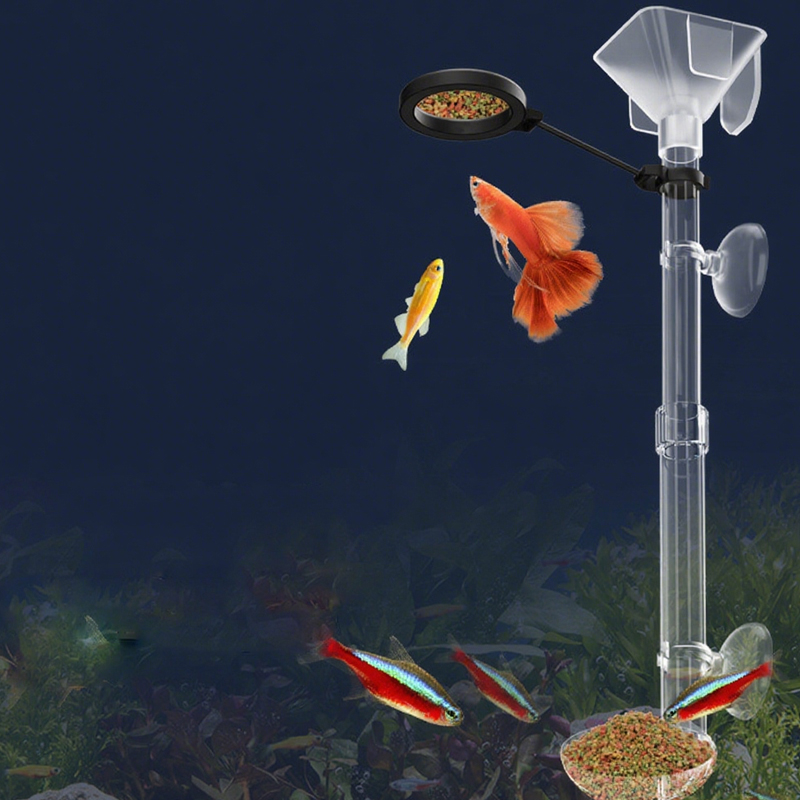 Acrylic Aquarium Fish Feeder T - Aquarium Fish Eggs 评论和价格