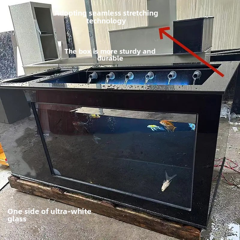 XL  Black Side-Filtered Fish T - Xl Aquarium Fish 评论和价格