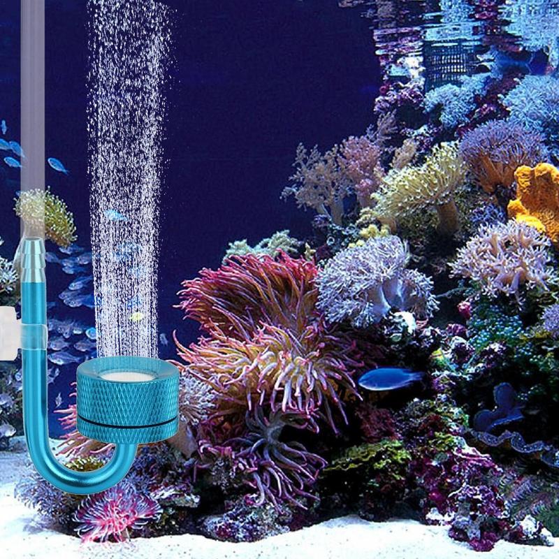 Aluminum CO2 Atomizer Fish Tan - Co2 Diffuser Planted 评论和价格