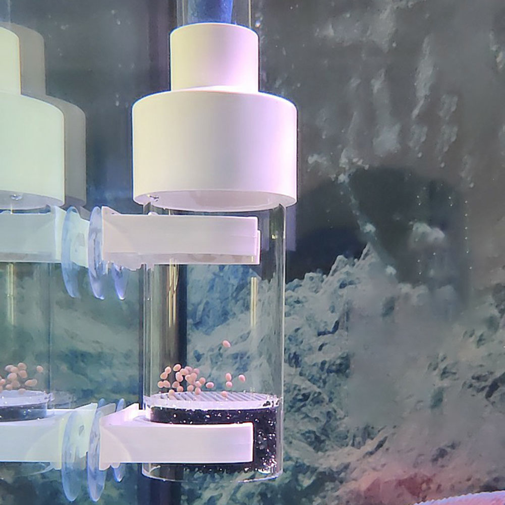40mm Incubator Fish Incubator  - Aquarium Fish Eggs 评论和价格