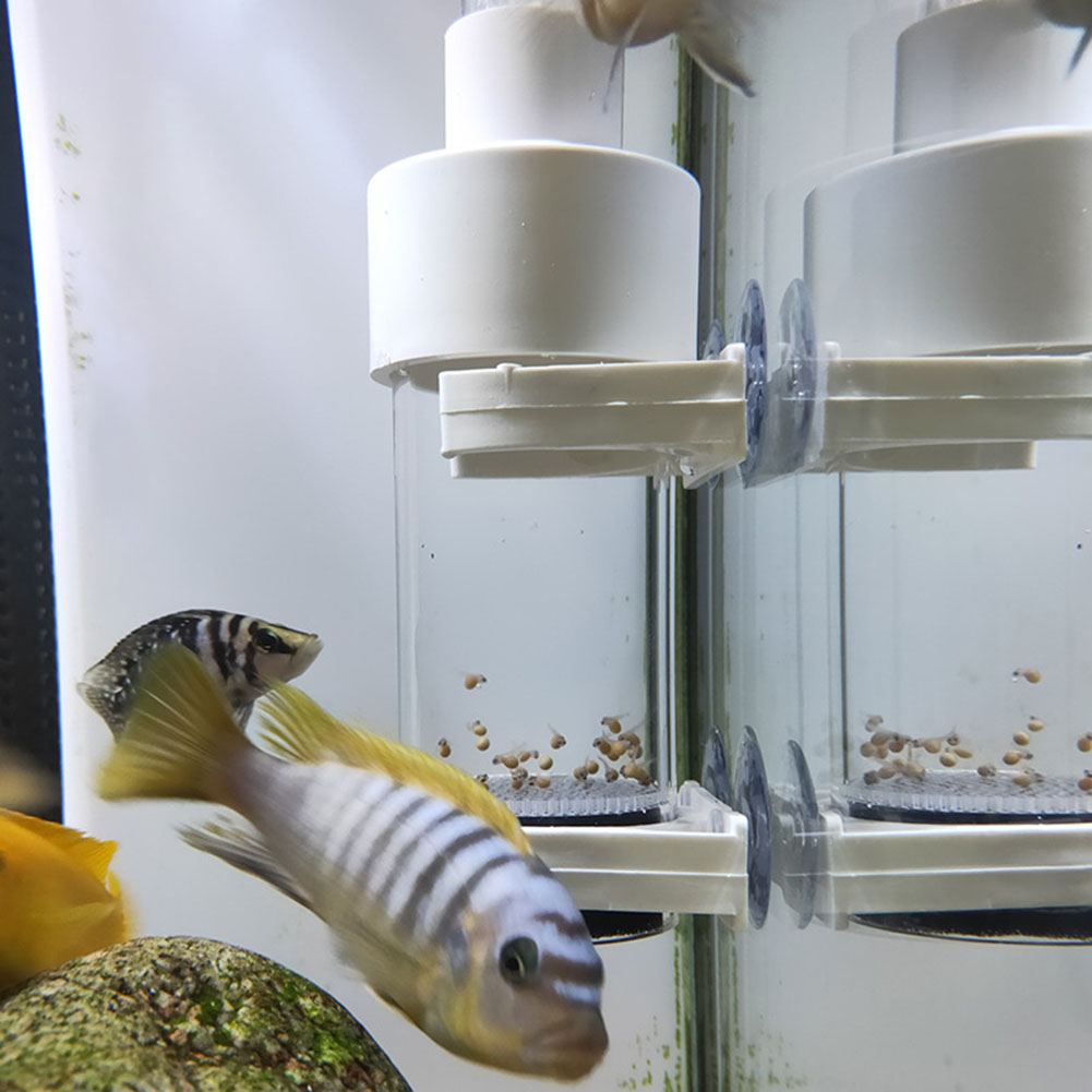 40mm Incubator Fish Incubator  - Aquarium Fish Eggs 评论和价格