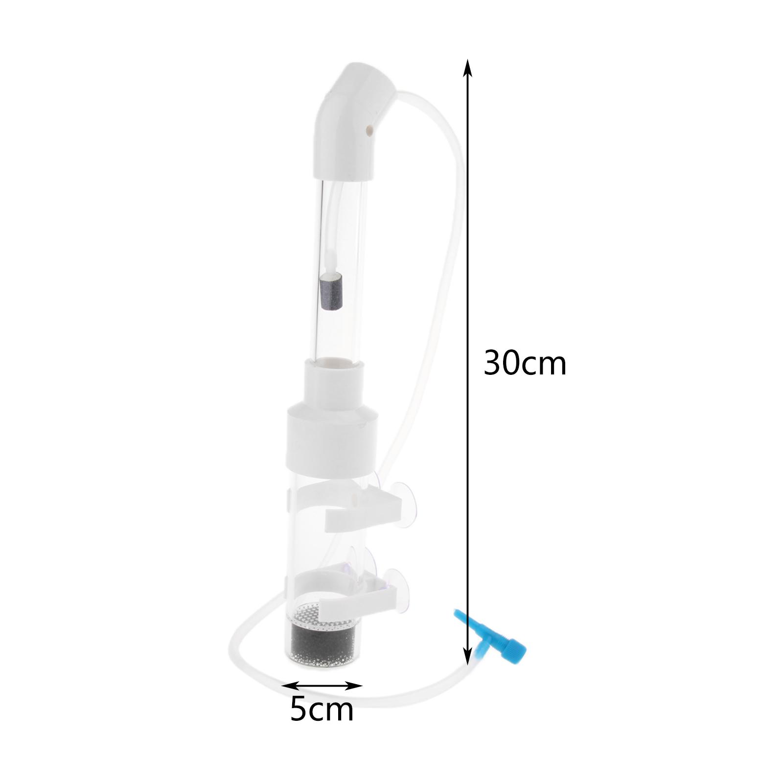 Egg Incubator Fish Acrylic Hat - Aquarium Fish Eggs 评论和价格