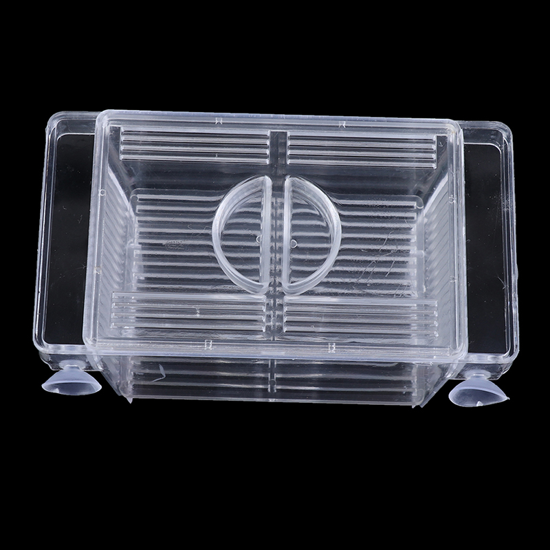 Aquarium Fish Tank Guppy Doubl - Aquarium Fish Eggs 评论和价格