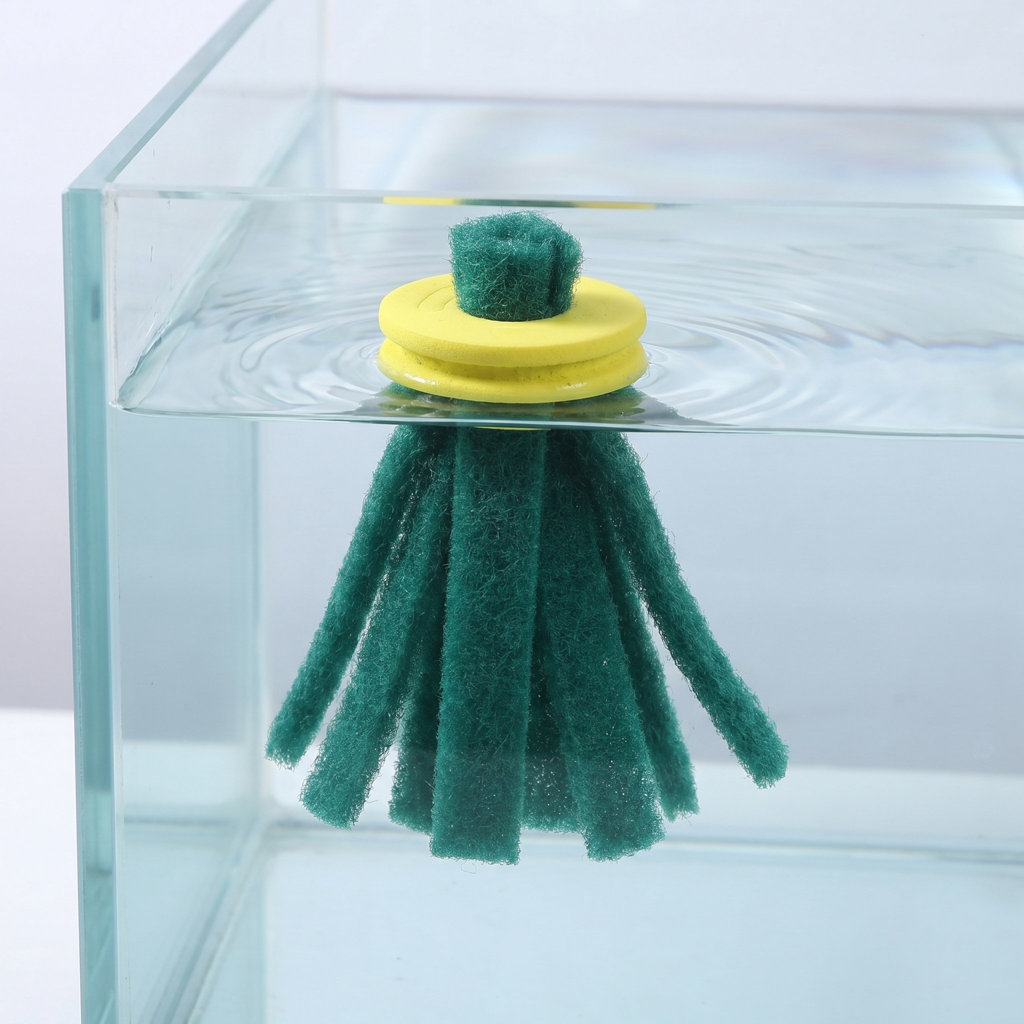 10Pcs Fish Egg Collector Float - Aquarium Fish Eggs 评论和价格