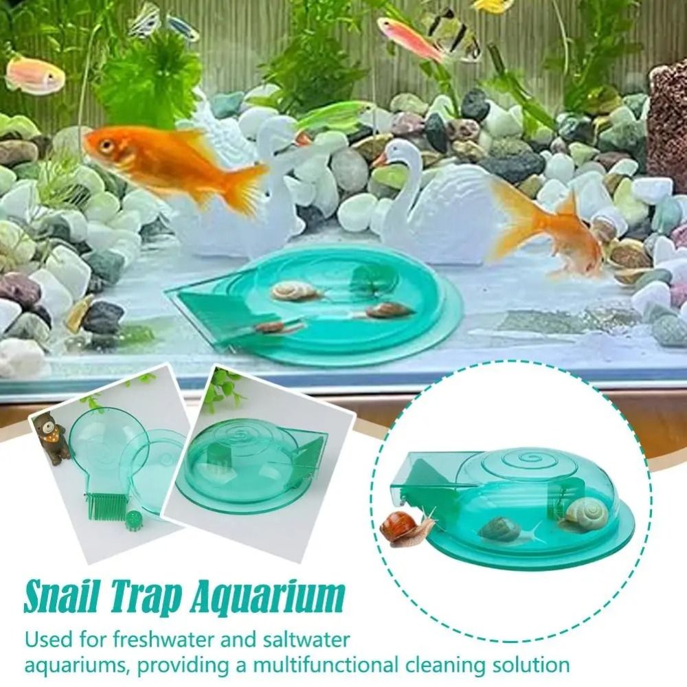 Freshwater Saltwater Aquarium  - Aquarium Fish Eggs 评论和价格