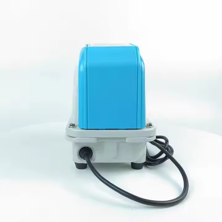 High Quality Aquarium External - Aquarium Fish High Price 评论和价格