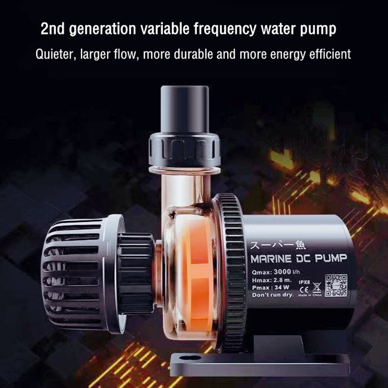 Custom Factory Wholesale Price - Aquarium Fish High Price 评论和价格