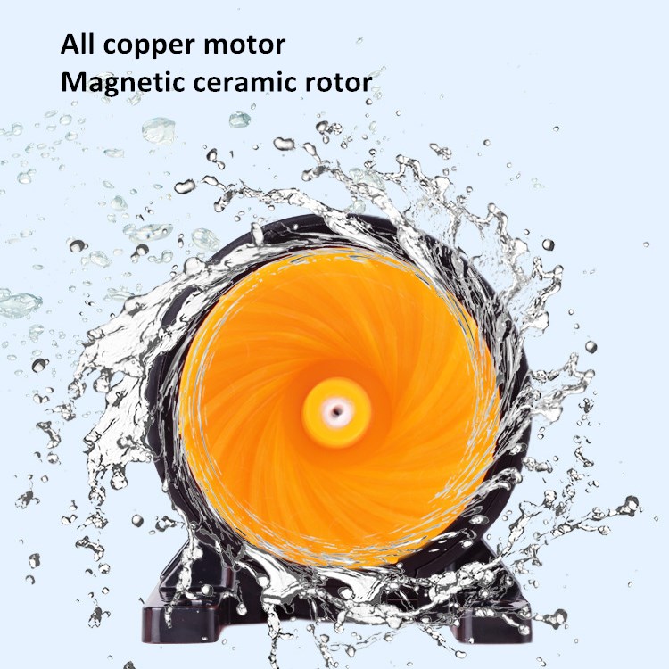 Custom Factory Wholesale Price - Aquarium Fish High Price 评论和价格