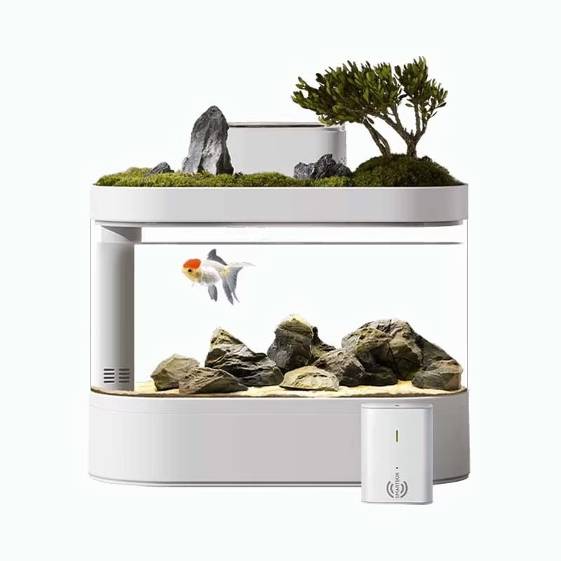Desktop Smart Aquarium Fish Ta - Aquarium Fish Feeder Automatic 评论和价格