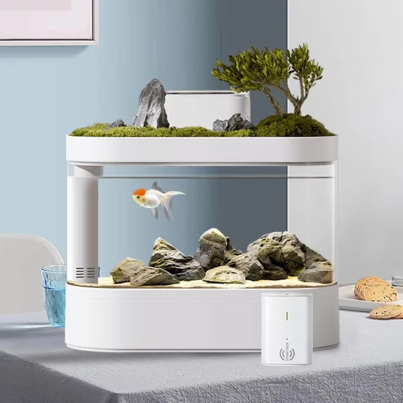 Desktop Smart Aquarium Fish Ta - Aquarium Fish Feeder Automatic 评论和价格