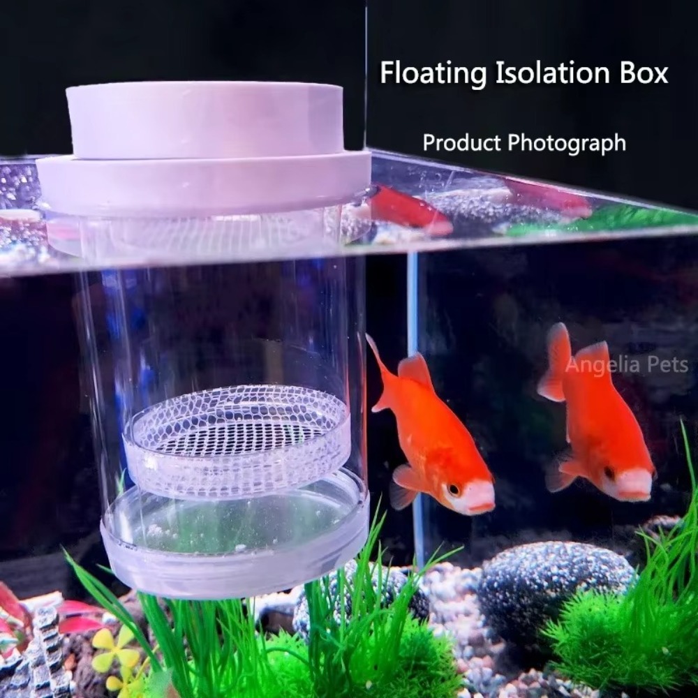 Plastic Floating Fish Breeding - Aquarium Fish Cave 评论和价格