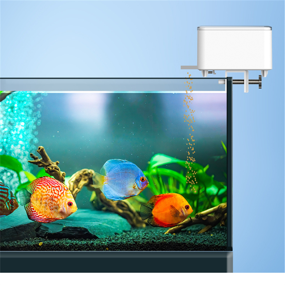 WiFi Smart Automatic Feeder Aq - Aquarium Fish Feeder Automatic 评论和价格