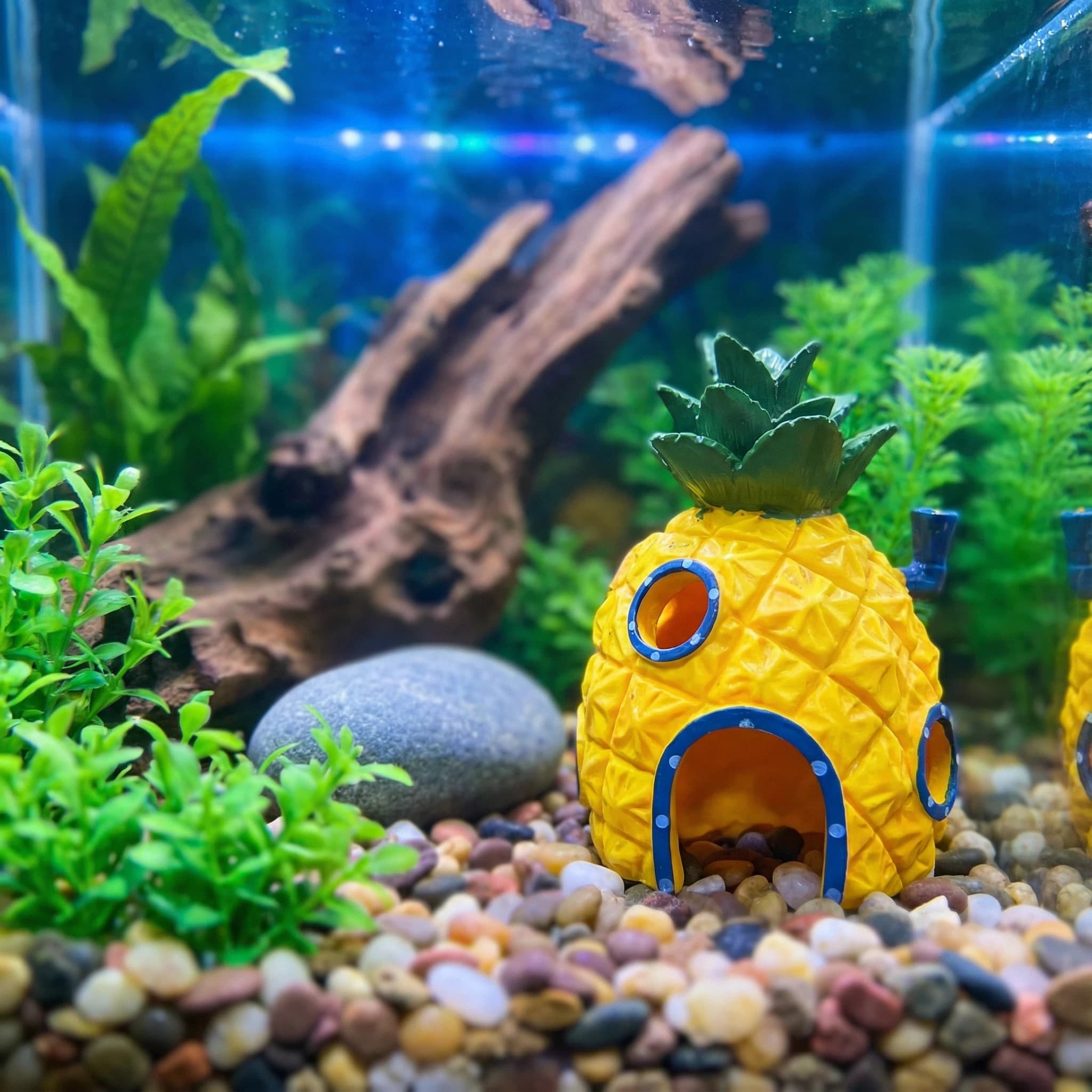 Pineapple House Aquarium Decor - Aquarium Fish Cave 评论和价格