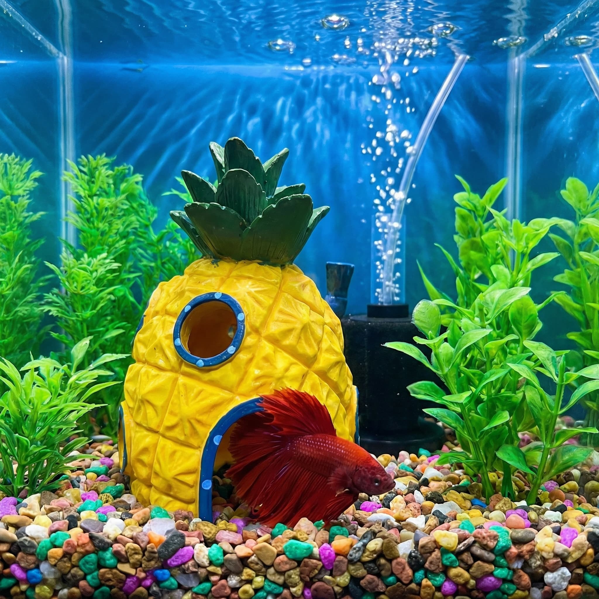 Pineapple House Aquarium Decor - Aquarium Fish Cave 评论和价格