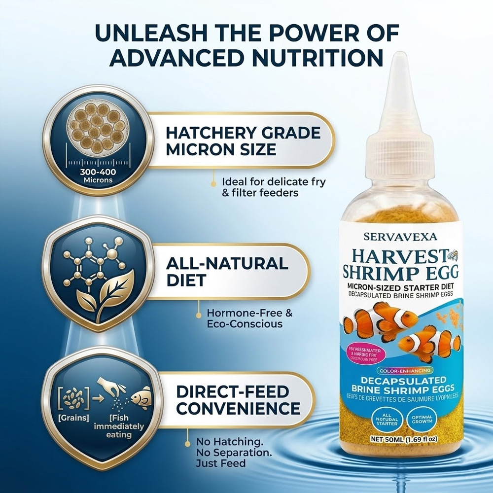 High Protein Fish Food for Bet - Aquarium Fish Eggs 评论和价格
