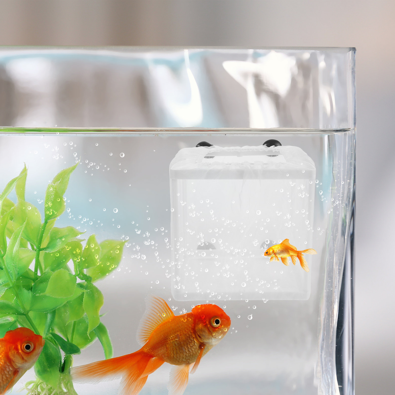 2Pcs Fish Breeding Box Aquariu - Aquarium Fish Eggs 评论和价格