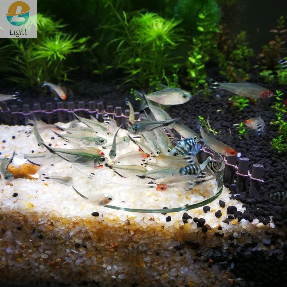 Aquarium Feeder Bowls Dish Cle - Aquarium Fish Keeping 评论和价格